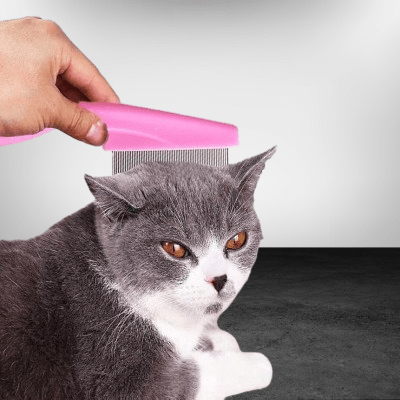 Brosse Chat - CatSheddingHairComb™ - Rose - Chat Pur