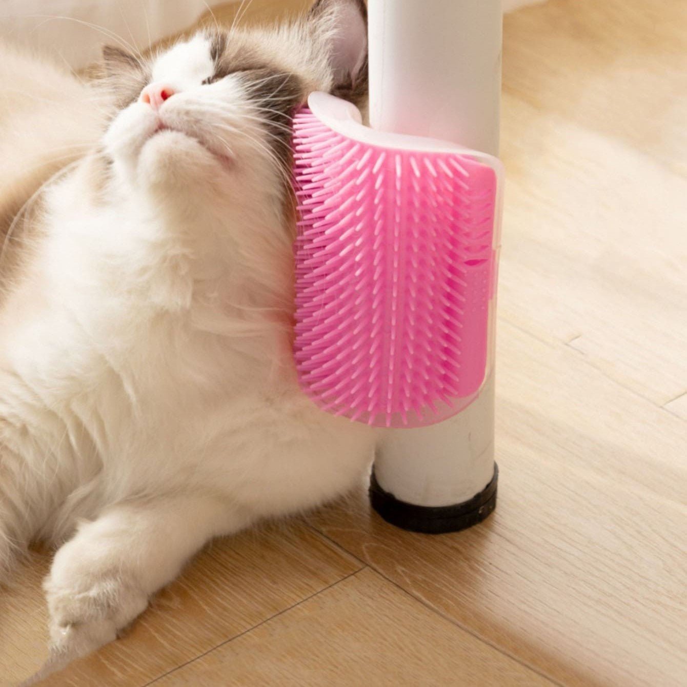 Grattoir Chat - PurrCornerGroomer™ - Rose - Chat Pur