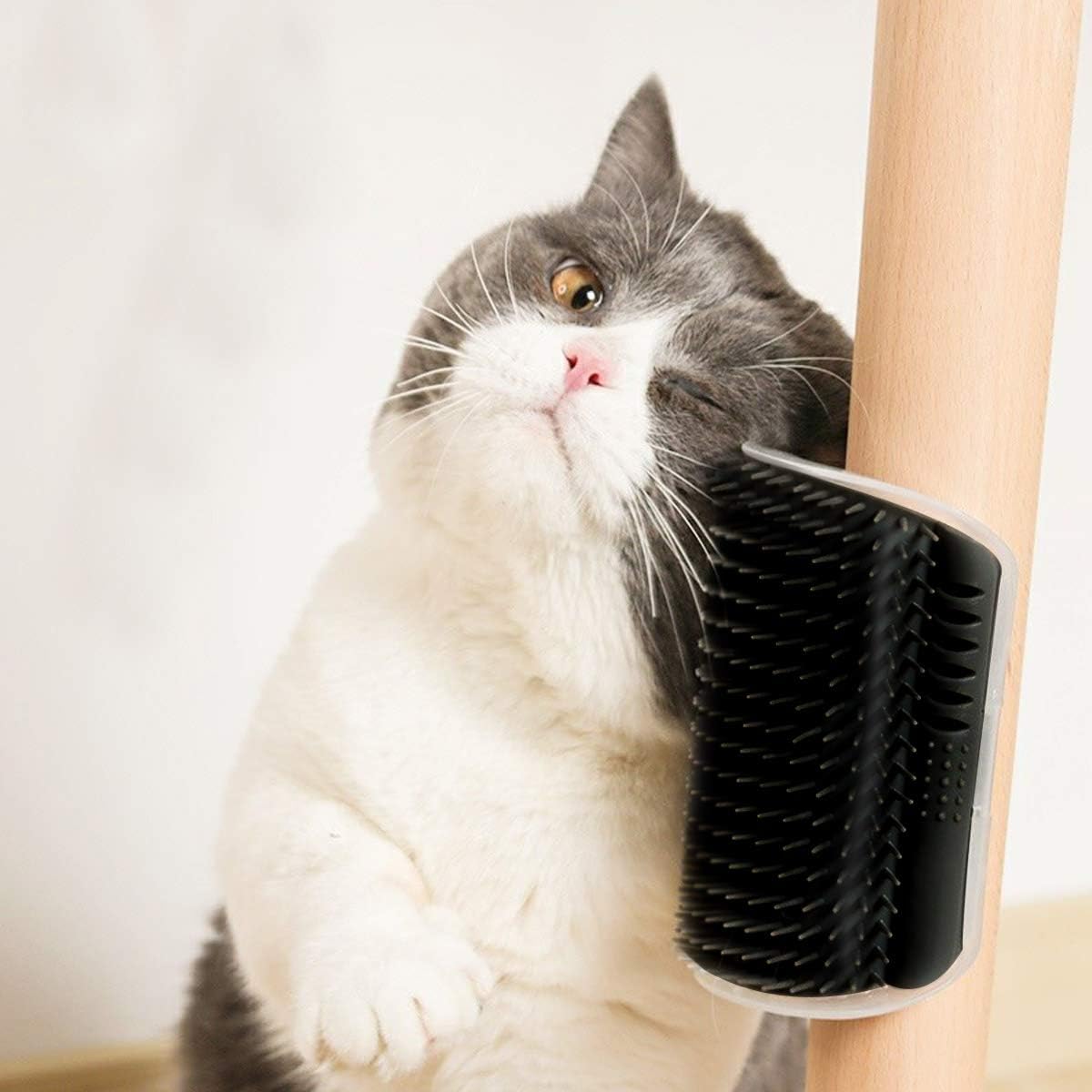 Grattoir Chat - PurrCornerGroomer™ - Noir - Chat Pur