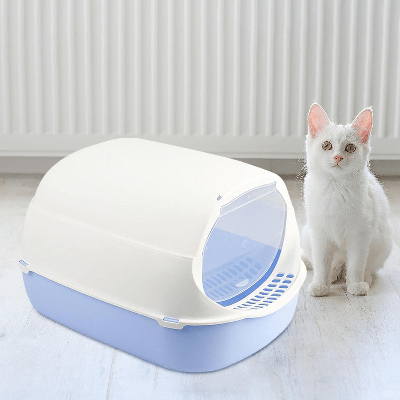 Bac à Litière Chat - SandboxCats™ - Bleu - Chat Pur