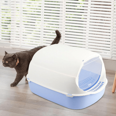 Bac à Litière Chat - SandboxCats™ - Bleu - Chat Pur