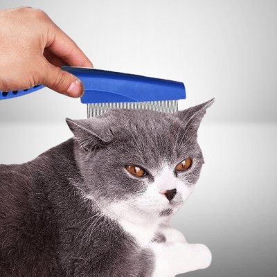 Brosse Chat - CatSheddingHairComb™ - Bleu - Chat Pur