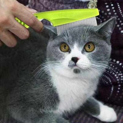 Brosse Chat - CatSheddingHairComb™ - Vert - Chat Pur
