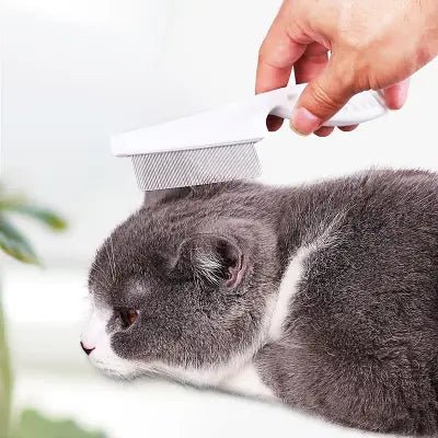 Brosse Chat - CatSheddingHairComb™ - Blanc - Chat Pur