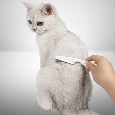 Brosse Chat - CatSheddingHairComb™ - Blanc - Chat Pur