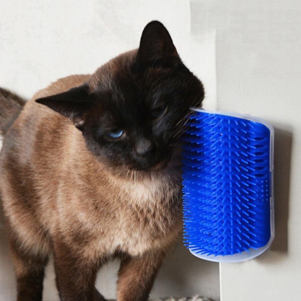 Grattoir Chat - PurrCornerGroomer™ - Bleu - Chat Pur