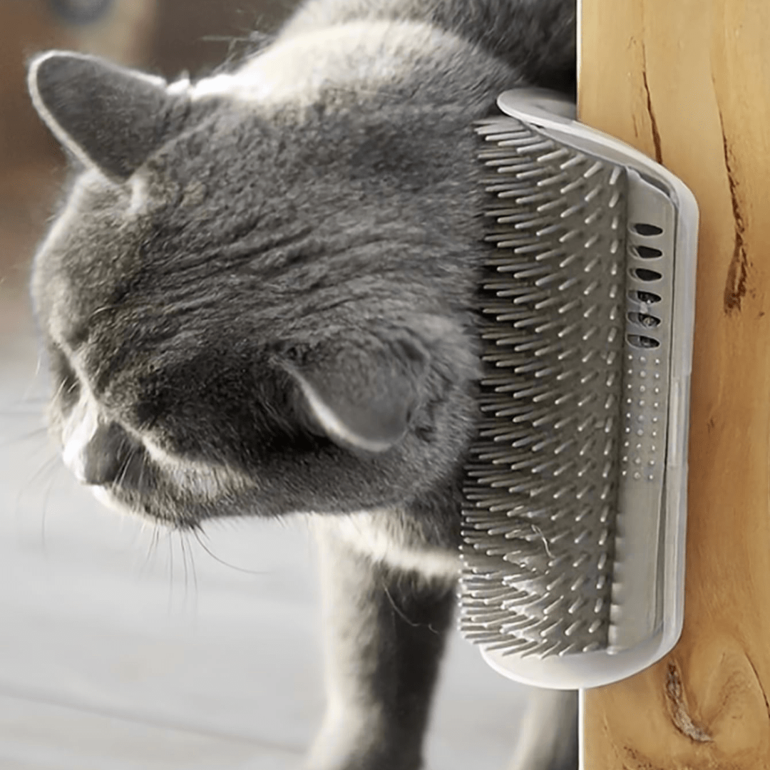 Grattoir Chat - PurrCornerGroomer™ - Gris - Chat Pur