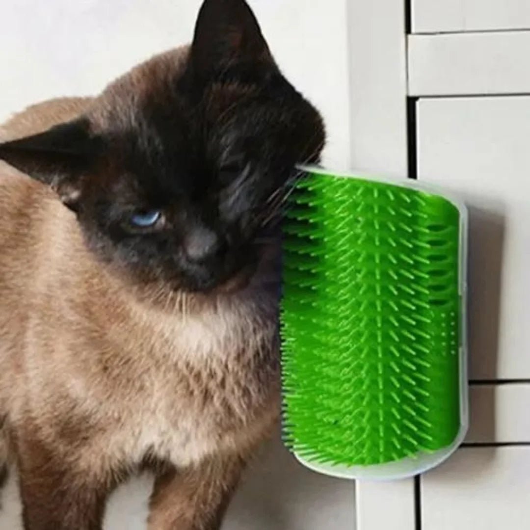 Grattoir Chat - PurrCornerGroomer™ - Vert - Chat Pur