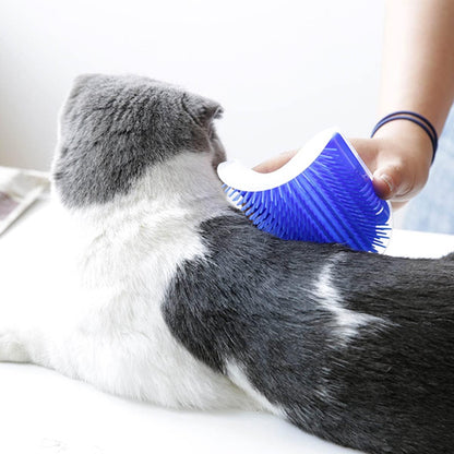 Grattoir Chat - PurrCornerGroomer™ - Bleu - Chat Pur