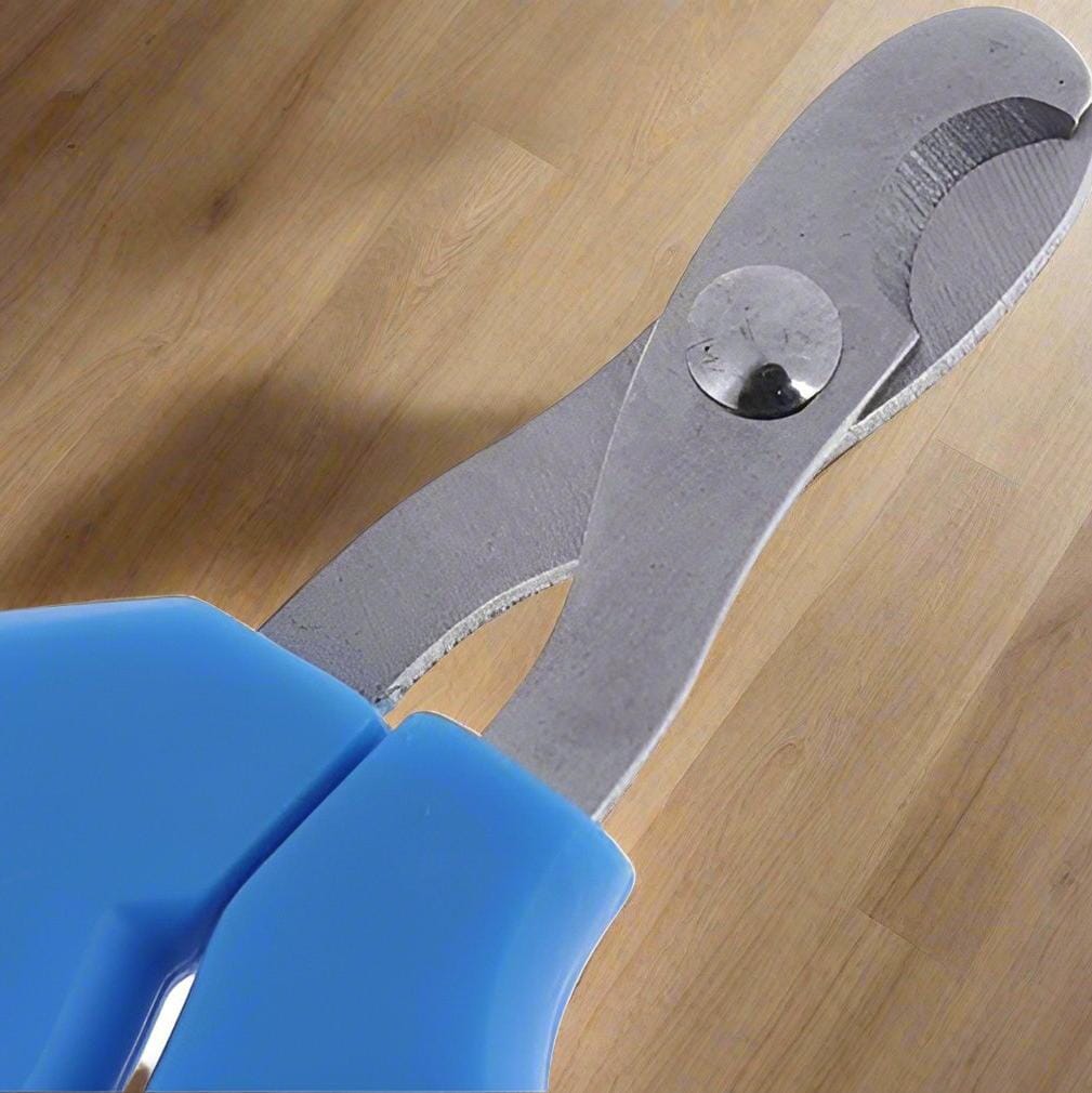 Coupe Ongle pour Chat - PetCatNailScissor™ - Bleu Blanc - Chat Pur