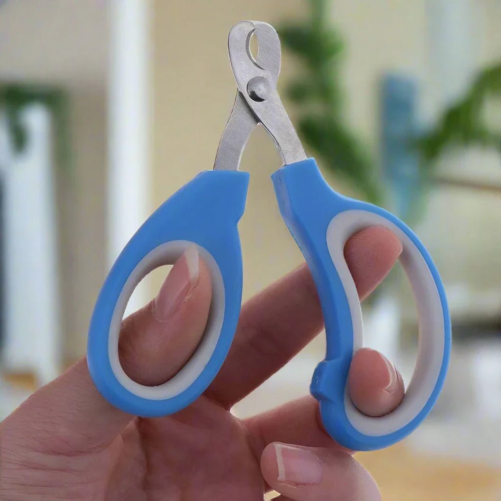 Coupe Ongle pour Chat - PetCatNailScissor™ - Bleu Blanc - Chat Pur