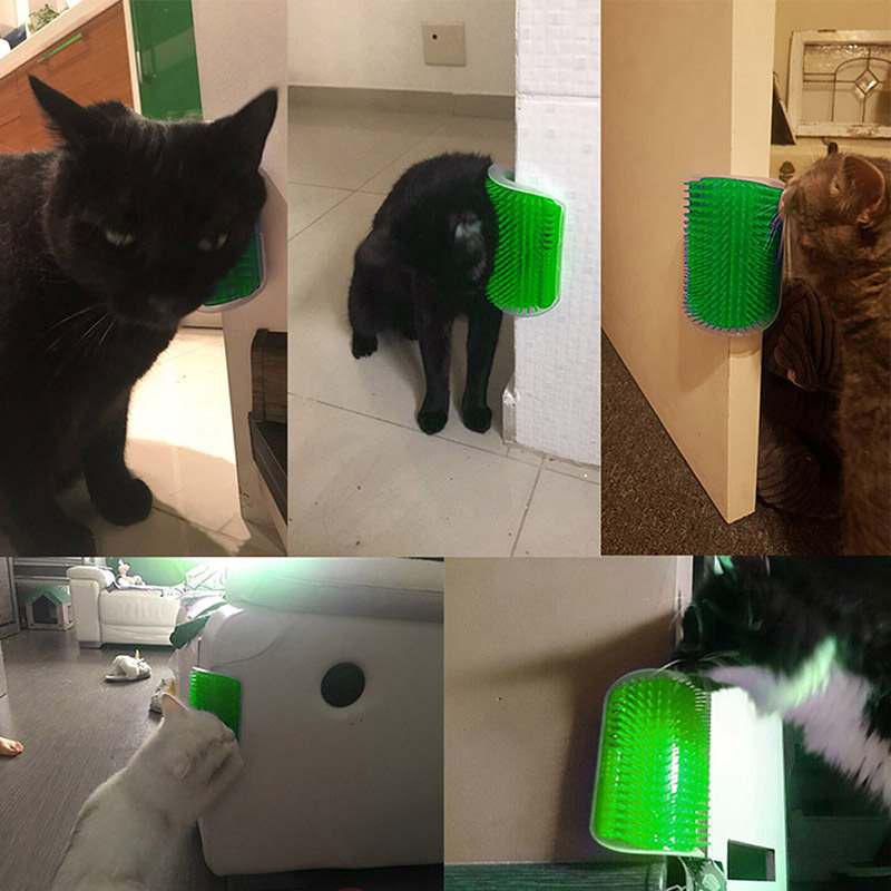 Grattoir Chat - PurrCornerGroomer™ - Vert - Chat Pur