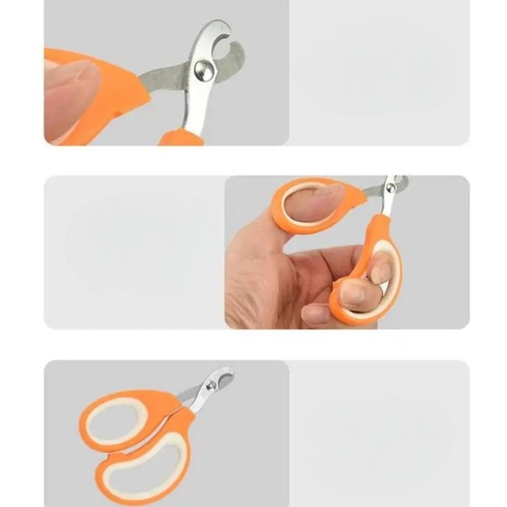 Coupe Ongle pour Chat - PetCatNailScissor™ - Orange Blanc - Chat Pur
