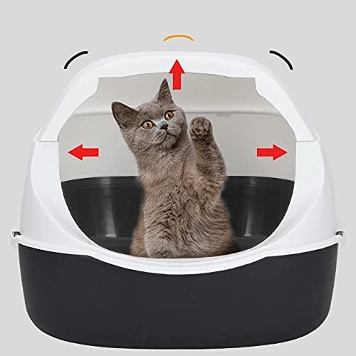 Bac à Litière Chat - SandboxCats™ - Noir - Chat Pur
