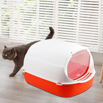 Bac à Litière Chat - SandboxCats™ - Rouge - Chat Pur