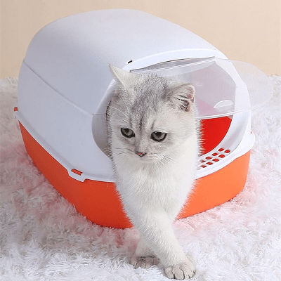 Bac à Litière Chat - SandboxCats™ - Rouge - Chat Pur